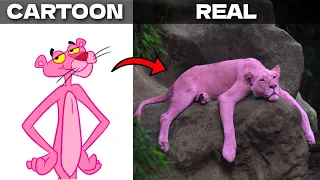 Pink Panther and Pals Characters IN REAL LIFE | miniship