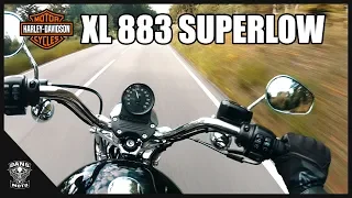 2019 Harley Davidson XL 883 Superlow | MotoVlog