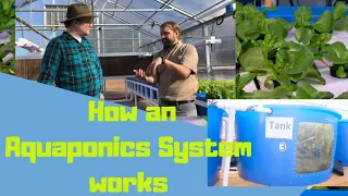 Aquaponic System Explained!!!!