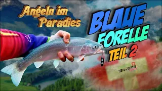 Forellen Angeln im See. Fische schlag auf Schlag Blaue Forelle Schweiz Teil2