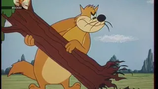 Дятел Вуди - Три дерева, уже лес 1958 (Семьдесят девятая серия)