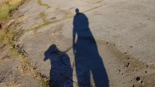 THE HIDDEN CEMETERY NEAR THE ABANDONED ASYLUM