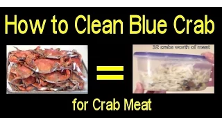 Crab Meat - How to Clean Blue Crab