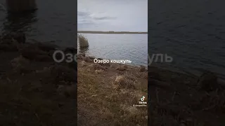 Омская обл