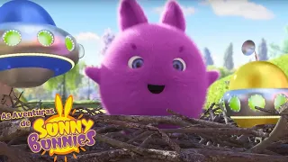 AJUDANDO OUTROS | As Aventuras de Sunny Bunnies | Desenhos Animados Infantis