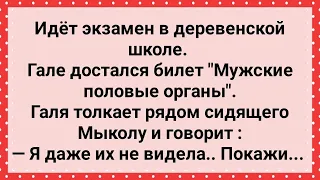 Мыкола на Экзамене Показал Гале Свое Хозяйство! Сборник Свежих Анекдотов! Юмор!