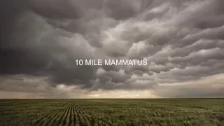 10 MILE MAMMATUS by STEPHEN LOCKE