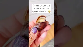 Улитка умерла? 💔😭 Помогаем улиточке проснуться ❤️ #snails #shorts #улитки #tiktok #тикток