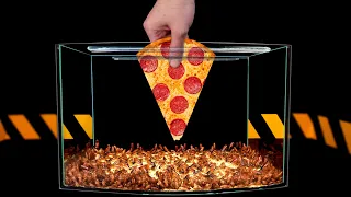 WHAT IF YOU GIVE PIZZA TO 1000 HUNGRY COCKROACHES? HOW LONG WILL IT TAKE THEM TO EAT IT?