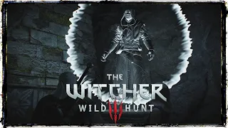 Wanderung im Dunkeln 🐺 ✦ THE WITCHER 3: WILD HUNT #17 ✦ Let's Play