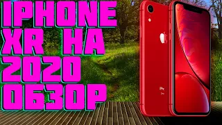 iPhone XR В 2021 ГОДУ! ВСЯ ПРАВДА И САМЫЙ ПРОСТОЙ ОБЗОР