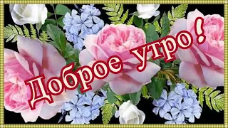 Доброе утро! ❤️Улыбнись, впереди целый день! Доброе утречко! Хорошего дня!