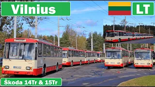 LT - VILNIUS TROLLEYBUS / troleibusai Vilniuje 2021 [ŠKODA 14TR & 15TR]