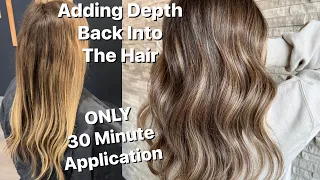 ONLY 30 MINUTE  Application | Adding Depth Back into The hair | MINIMAL 2 Tone Foil Work