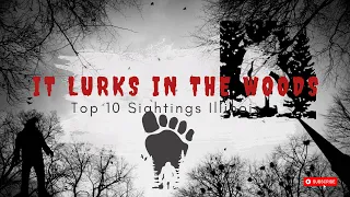 Mysterious Illinois Bigfoot Sightings: Top 10 Creepy Encounters