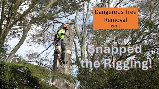 Tree Removal - Rigging Fail -  Part 03