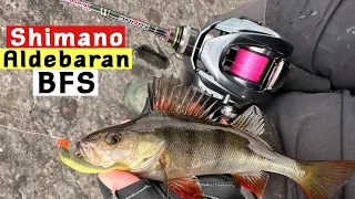 Testing the 2022 Shimano ALDEBARAN BFS - First Impressions and Review