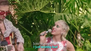 Miley Cyrus - Plastic Hearts (Backyard Sessions) (Lyrics + Español) Video Official