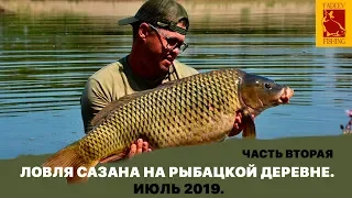 Ловля Сазана на Рыбацкой деревне. Июль 2019. Часть вторая.