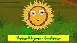 Sunflower Rhyme | Flower Rhymes for Children | Nursery Rhymes for Kids | Most Popular Rhymes HD