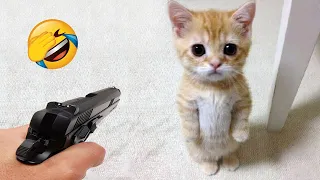 New Funny Animals 2024 😂 Funniest Cats and Dogs Videos 😹🐶 Part 1
