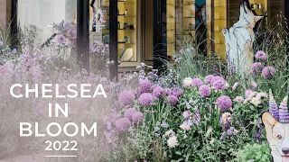 Chelsea in Bloom 2022 | British Icons | Floral Displays