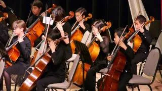 The Gypsy Rover by Prelude String Orchestra 04272013
