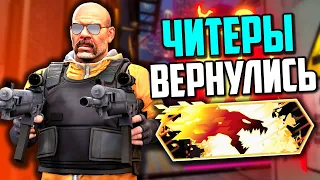 ЧИТЕРЫ ВЕРНУЛИСЬ В DANGER ZONE (CS:GO)🔥