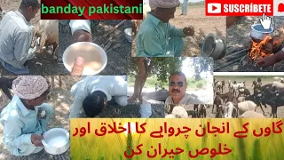 Village life//punjabi culture//pind//kisan//farmer//farming in india//goat farming//pind//east punja