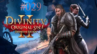 Divinity: Original Sin 2 #029 - Eskorte und Angeln [Together, Blind, German Lets Play]