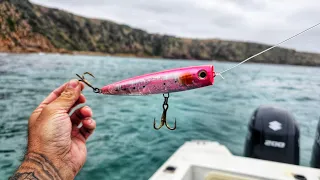PINK Popper Gets It Done - Tuna Fishing Victoria
