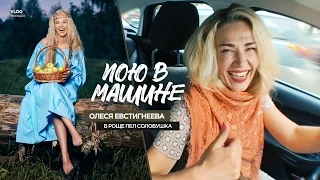 Олеся Евстигнеева - В роще пел соловушка (Пою в машине)