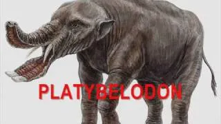 Bizarre Prehistoric Animals Ever Existed!