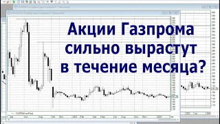 Трейдеру. Акции Газпрома сильно вырастут в течение месяца?