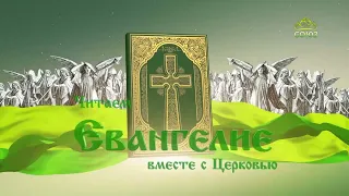 Евангелие 19 октября. И весь народ, слушавший Его, и мытари воздали славу Богу