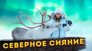 Териберка и северное сияние. Самое невероятное, что я видела в своей жизни. Мурманская область.