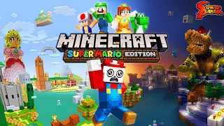 Minecraft Super Mario Adventure on Switch!