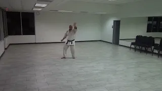 T.N.T. Ryu no Tate jutsu Annan Kata