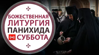 Божественная Литургия. Трансляция. 10.04.2021 (суббота) в 08:00.