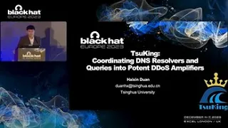 TsuKing: Coordinating DNS Resolvers and Queries into Potent DoS Amplifiers