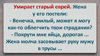 ✡️ Жена Покрутила Старому Венечке Яйца! Еврейские Анекдоты! Анекдоты про Евреев! Выпуск #146