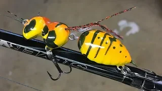 Making a Hornet Lure