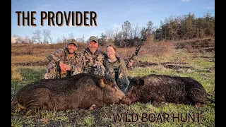 Chad Mendes Spot and Stalk Wild Boar Hunt!| THE PROVIDER