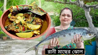 রানী মাছের ঝোল Queen Fish Recipe video ( Bengali ).