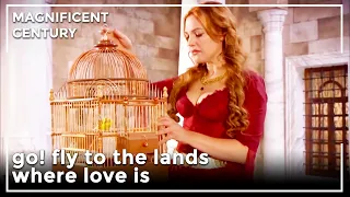 Hurrem Angered By Suleiman, Set The Birds Free | Magnificent Century