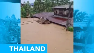 Deluge | inundation | flood | cricket | thailand 3 aug 2020