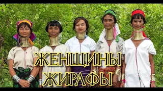 ЖЕНЩИНЫ- ЖИРАФЫ ПЛЕМЯ ПАДАУНГ