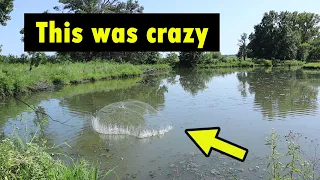 YOU WON'T BELIEVE WHAT WE CAUGHT THIS TIME! CAST NET FISHING!