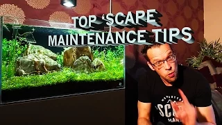 2 Minute Tips - Aquascaping