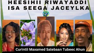Heesihii Riwayadii Isa Seega Jaceylka | Curintii Maxamed Salebaan Tubeec Ahun
